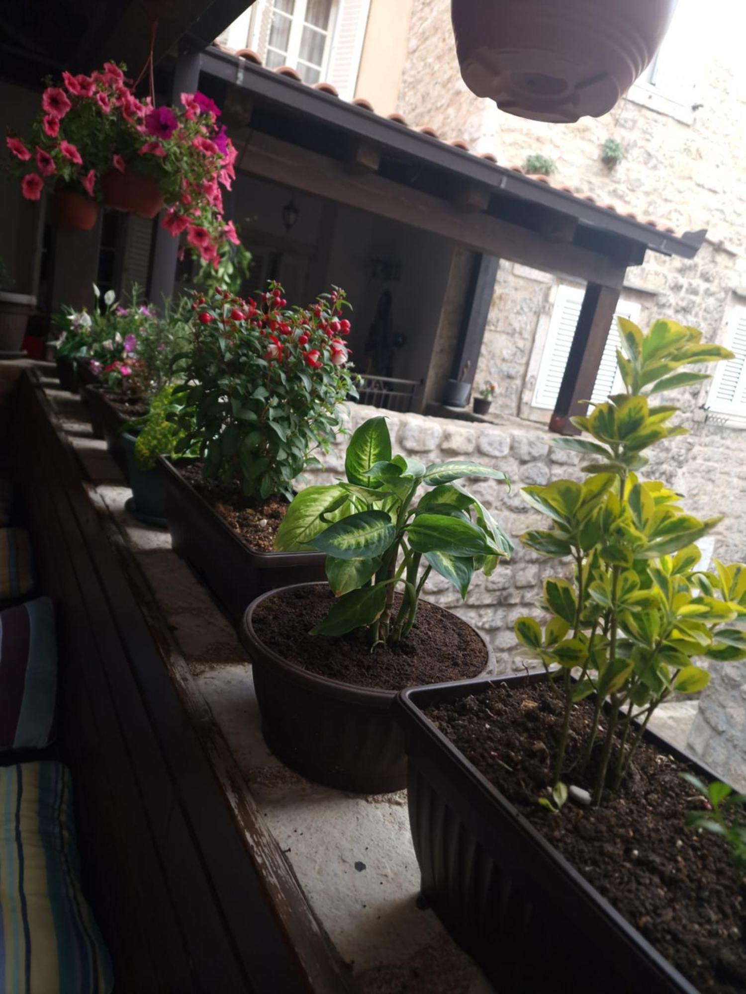 Rooms Dana Old Town Budva Extérieur photo