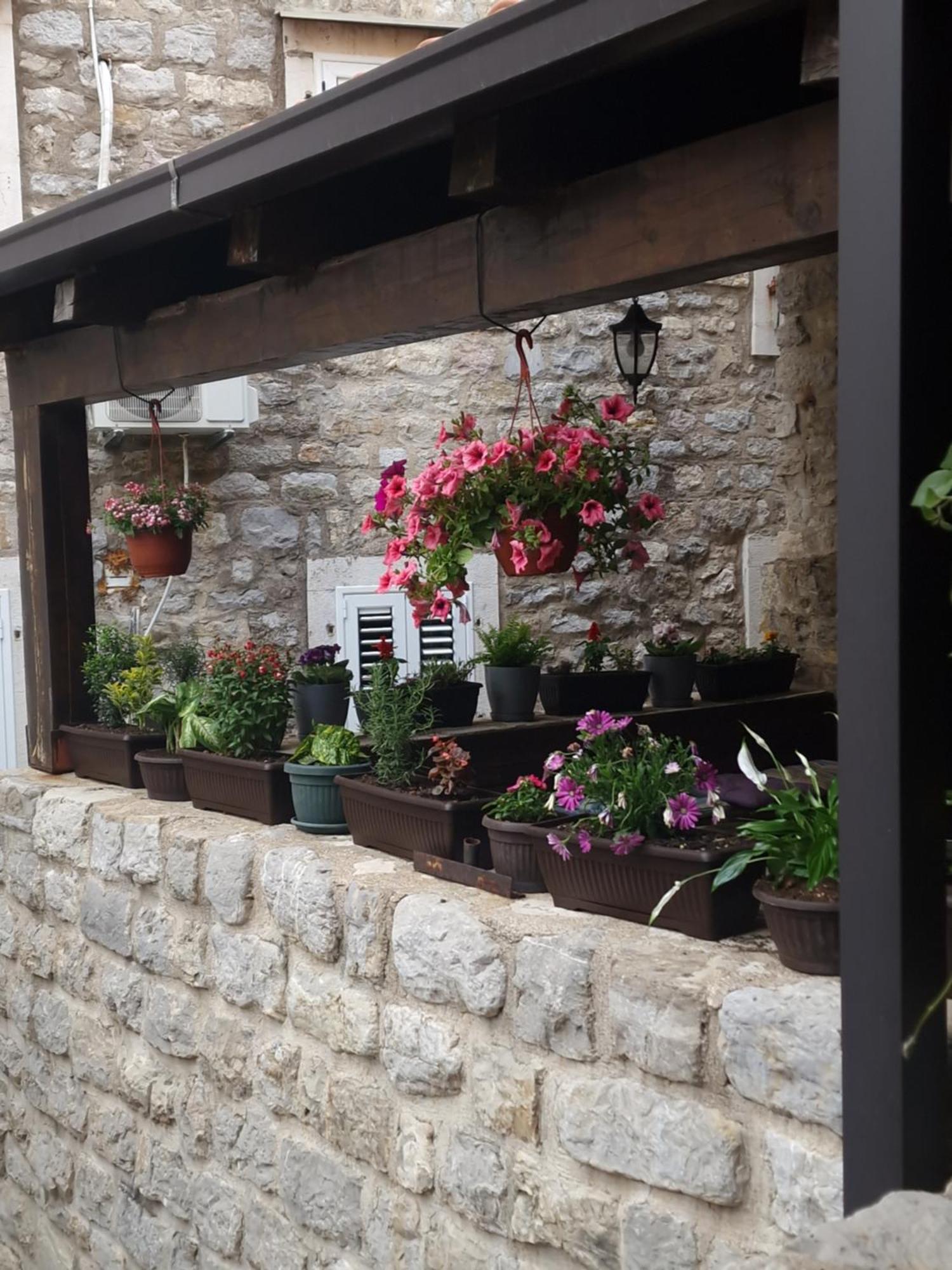 Rooms Dana Old Town Budva Extérieur photo